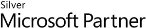 Silver Microsoft Partner Logo